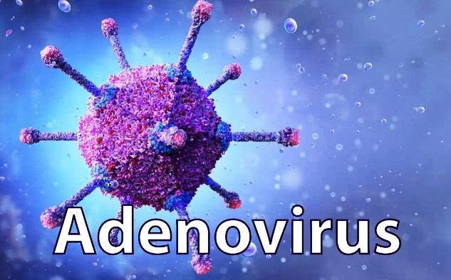 ADENOVIRUS GÂY BỆNH ĐAU MẮT ĐỎ VÀ CÁC BIỆN PHÁP PHÒNG TRÁNH